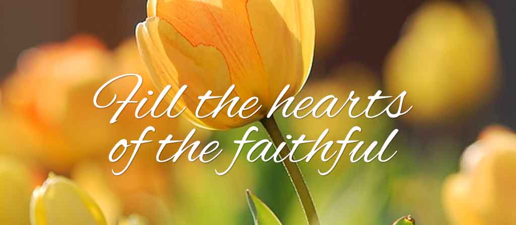 Pentecost 6